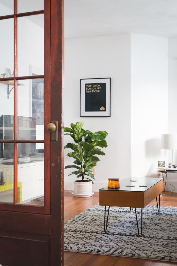 Living room with a glass-top coffee table, patterned rug, potted plant, and framed wall art.