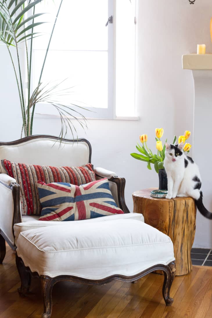 White armchair with Union Jack pillow, wooden side table, yellow tulips, and a black and white cat sitting beside.