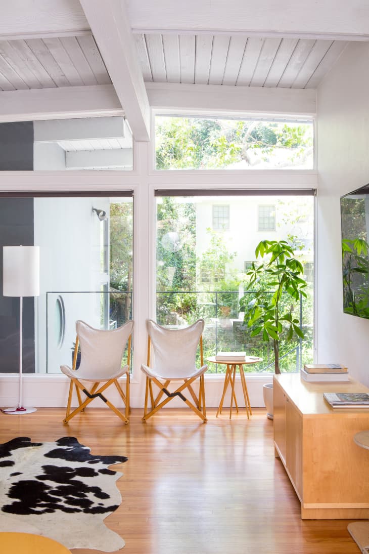 Living room with two white butterfly chairs, a cowhide rug, a wooden console, and a large potted plant by a window.