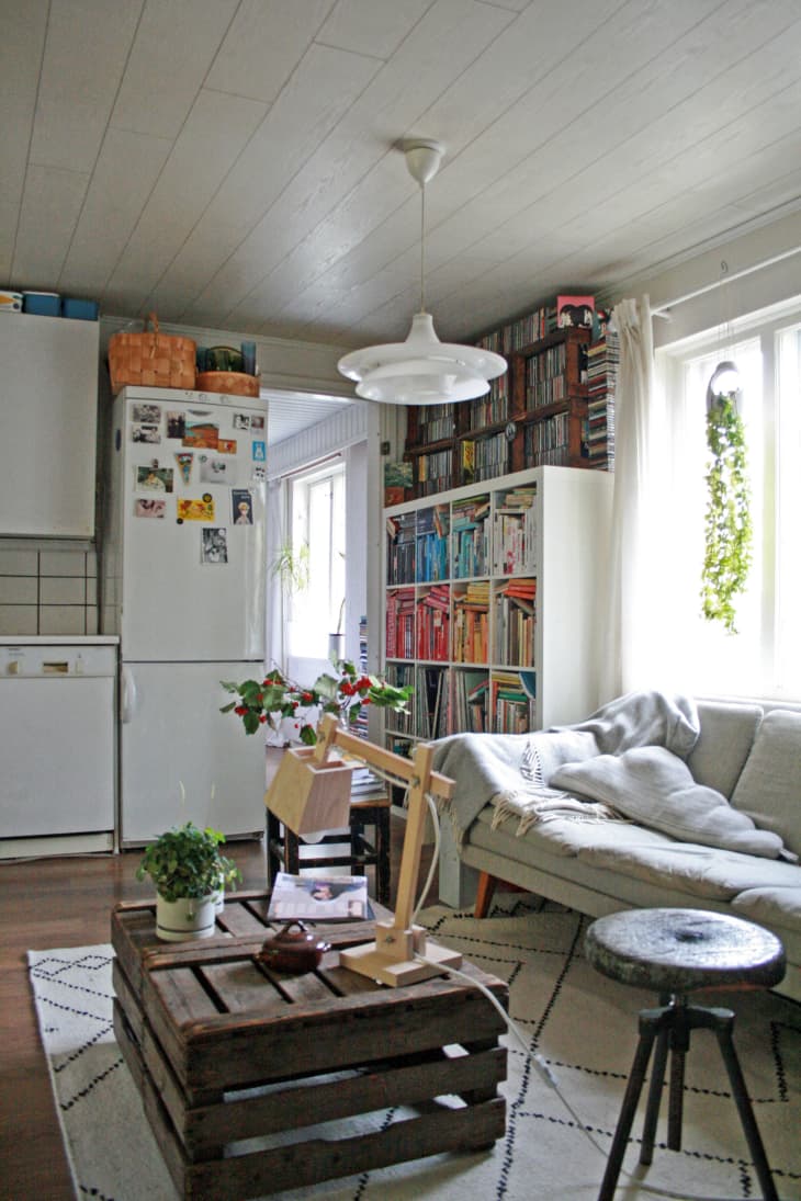 Cozy living room with a gray sofa, wooden coffee table, bookshelves, and plants near a window.