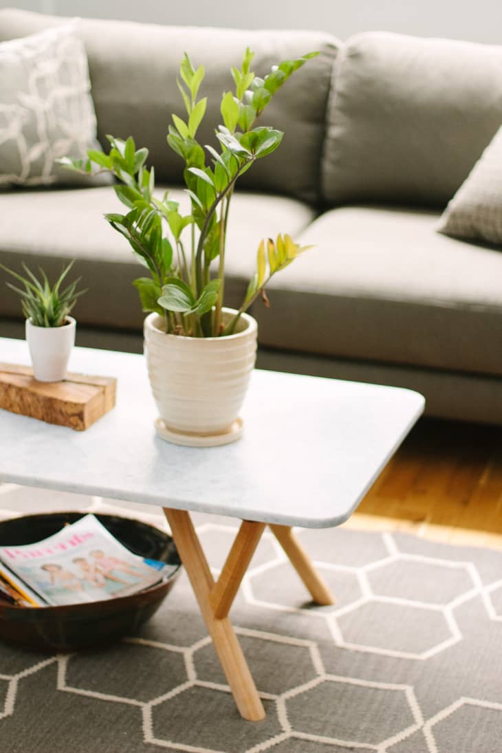 Coffee table with potted plants, magazines underneath, and a gray sofa in the background.