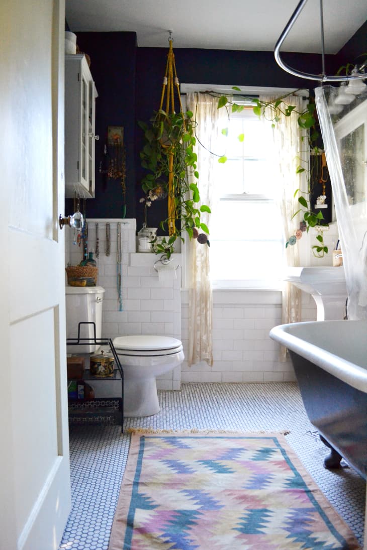 A small bathroom features black walls, a hanging plant, and a colorful rug.