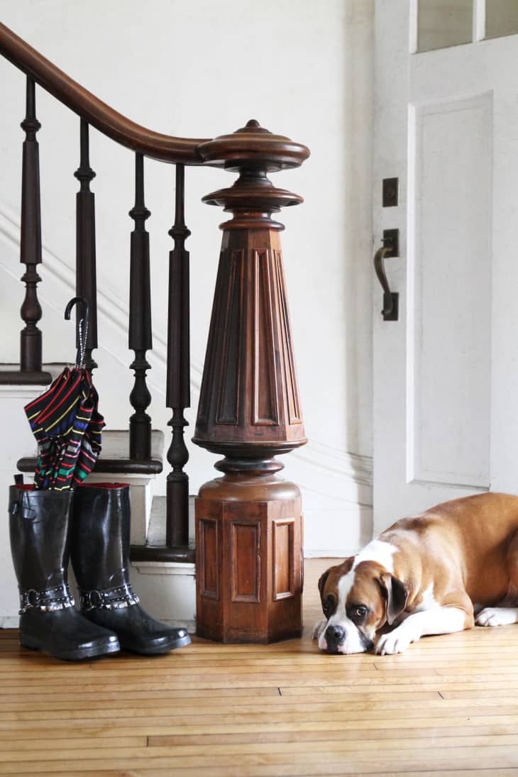 How to Keep Stair Risers Clean Apartment Therapy