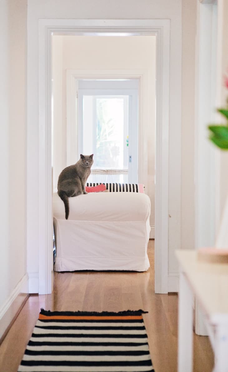 Can You Go Crazy From Living Alone? How to Not Feel Lonely Apartment