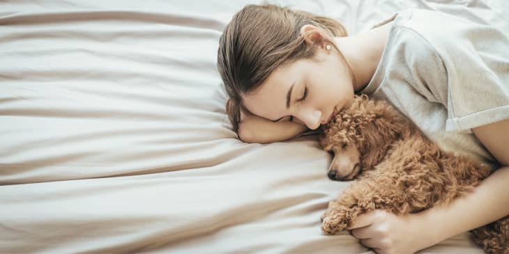 Dog not sleeping in bed online