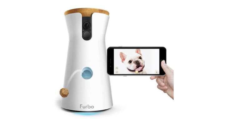 Furbo treats amazon top