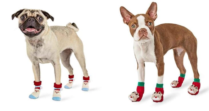 Where to sale buy dog socks