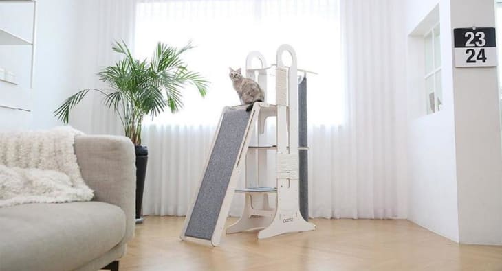 Best deals sales on cat trees