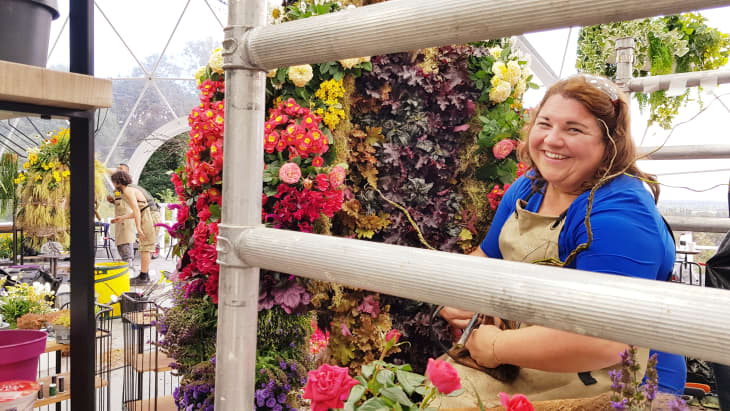 Woman in blue shirt arranging colorful flowers on a vertical garden wall inside a greenhouse.