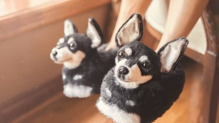 Cuddle Clones Sells Slippers That Look Like Your Dog Apartment