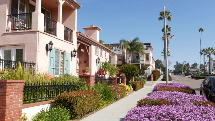 neighborhood street with palm trees and purple flowers, brick and metal fence lining sidewalk