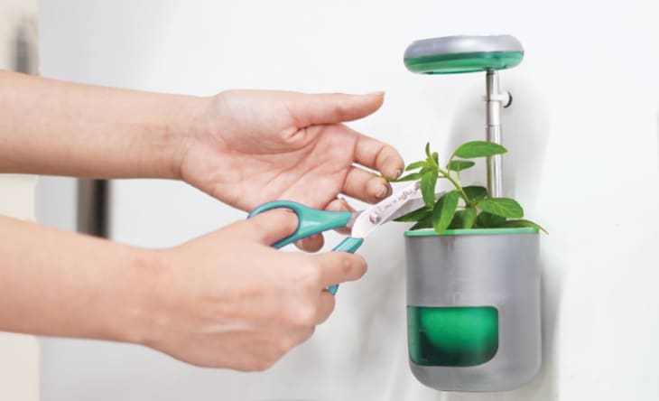 Self Watering Plant Pots with LED Grow Lights Apartment Therapy
