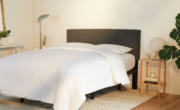 Cozy bedroom with a dark gray upholstered headboard, white bedding, wooden side table, and potted plants.