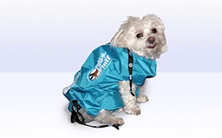Get Rid Of Wet Dog Smell With This Drying Dog Coat Apartment Therapy