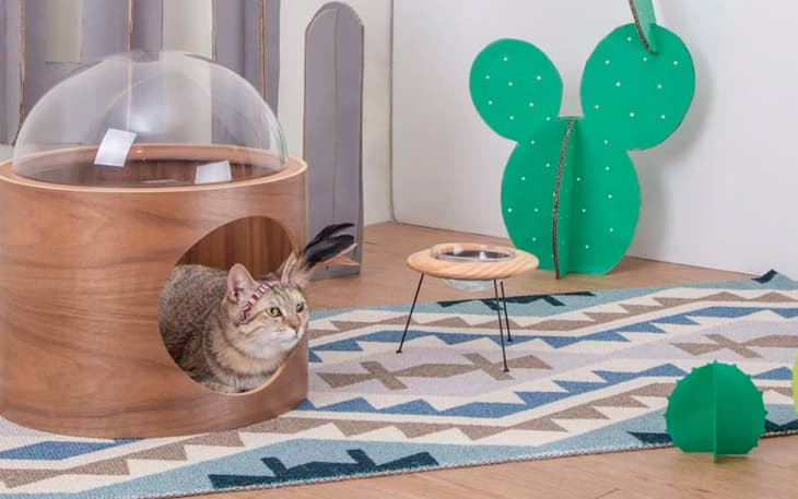 Myzoo spaceship cat bed store