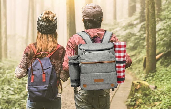 Amazon Picnic Backpack Apartment Therapy