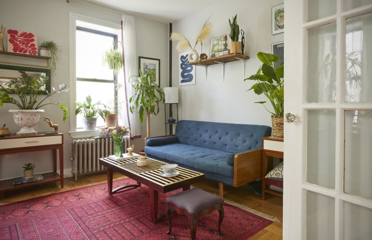 Blue sofa in Brooklyn living room with open shelving above sofa.