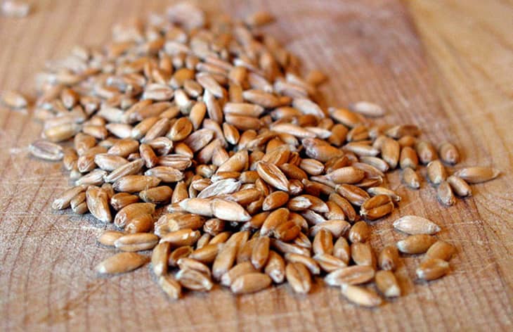 Good Grains: What Is Spelt? | The Kitchn