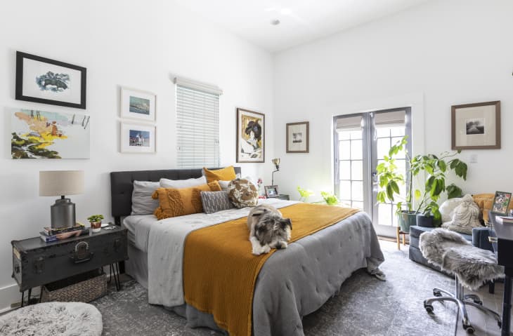 Cozy bedroom with a gray bed, mustard throw, cat, wall art, plants, and a side table with a lamp.