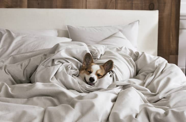 Brooklinen Black Friday Sale 2022 Apartment Therapy