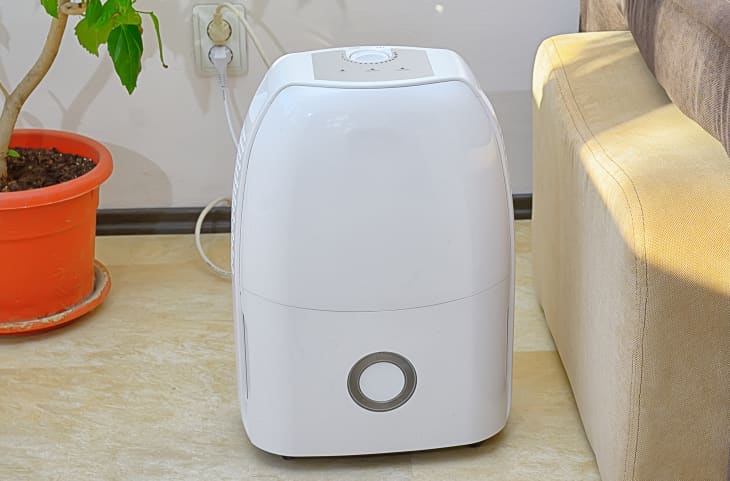Best home best sale dehumidifiers 2021