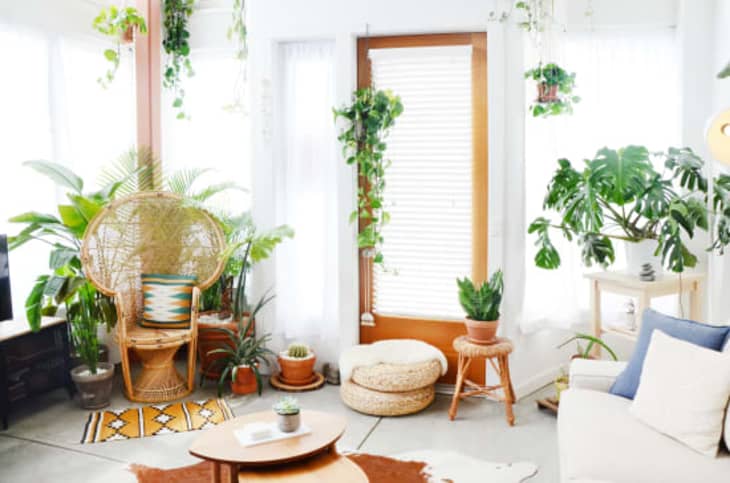 Redditors Are Taking ‘Family Portraits’ with Their Plants, and They’re Unbe-leaf-able