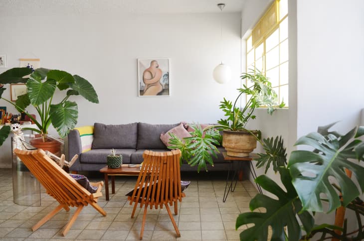 Living room with gray sofa, wooden chairs, large potted plants, and abstract wall art.