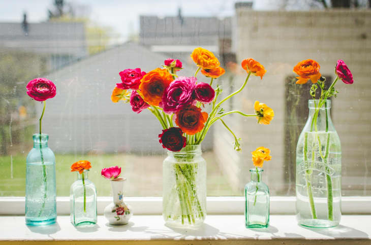 Yellow Cosmos Flowers Water Bottle by Jessica Rose