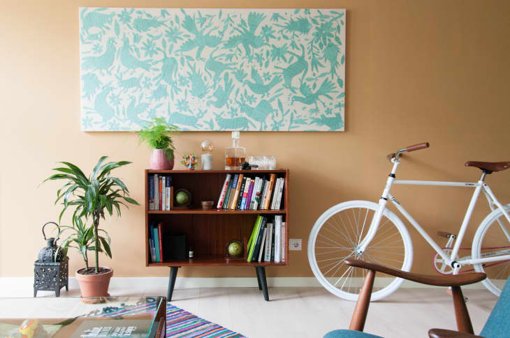 Mid-century modern living room with a wooden bookshelf, potted plants, a white bicycle, and a teal patterned wall art.