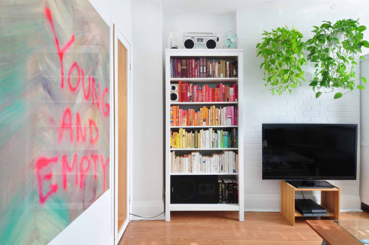 Living room with a colorful bookshelf, TV on a wooden stand, hanging plants, and a painting with "Young and Empty" text.