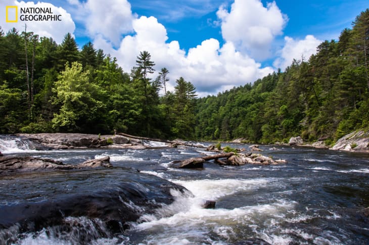 River flowing through a forested landscape with rocky banks and a bright blue sky with fluffy clouds.