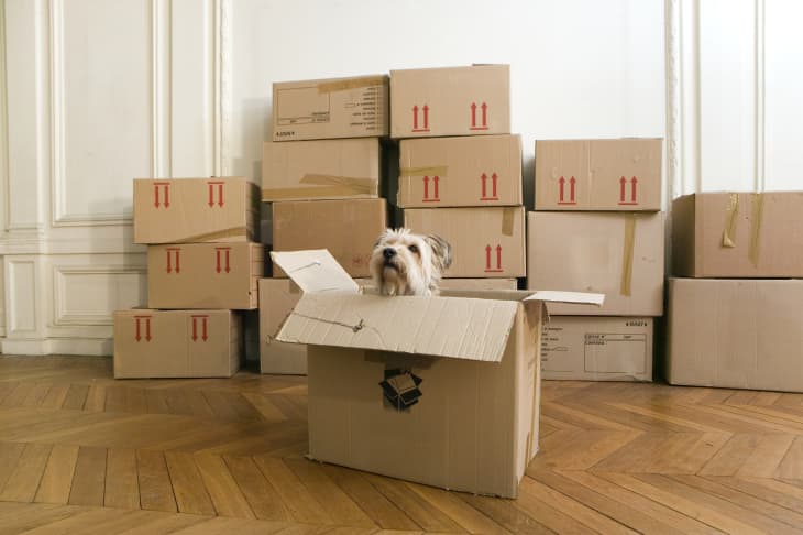 3 Reasons to Get Professional Furniture Moving Help - Brown Box Movers