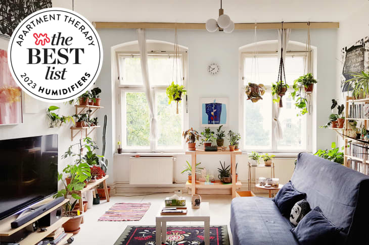 Living room with lots of windows and plants. Seal in upper left corner says "Apartment Therapy The Best List 2023 Humidifiers"