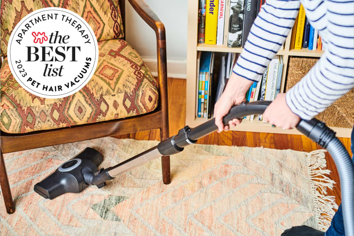 Best List seal for Pet Hair Vacuums. Person vacuuming rug in living room.