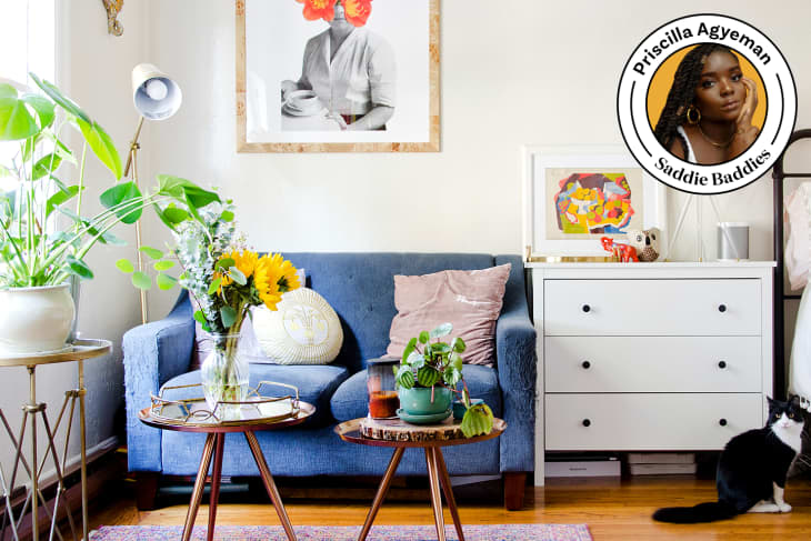 apartment space with blue loveseat, 2 small tables with plants and flowers, vibrant art on the walls, light coming in through window. small white dresser and black and white cat