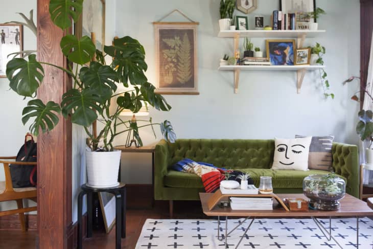a living room with a green velvet sofa, accent pillows, greenery, and shelves with decor