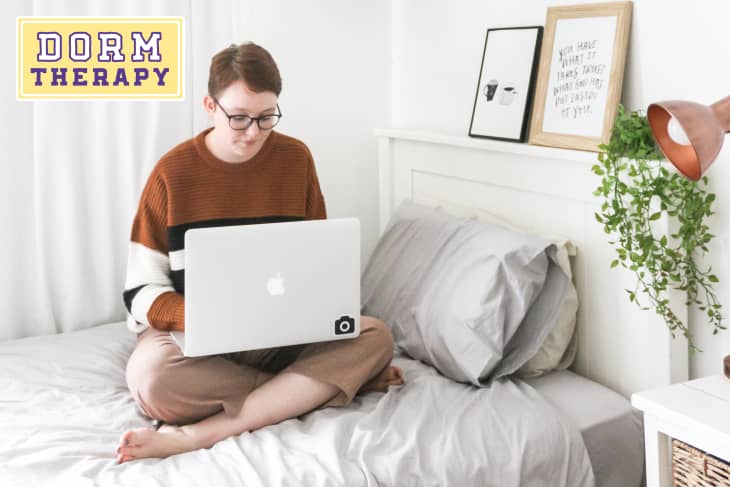 Person in a cozy dorm room sitting on a bed with a laptop, surrounded by framed art and a hanging plant.
