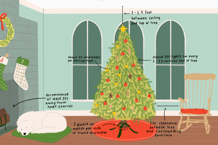 How Many Lights You Need for Your Christmas Tree (Plus Lights-Per-Foot  Guide)