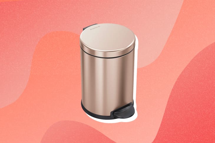 Simplehuman Trash Can Review 2022