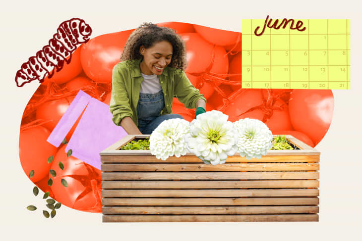 collage of woman gardening