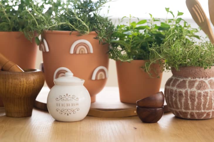 How to Grow Herbs Indoors