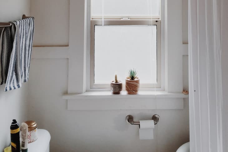 Bathroom window with two small potted plants on the sill, striped towel on rack, and toilet paper holder below.
