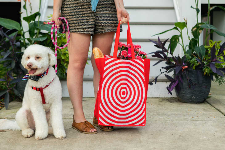 Person holding a red and white spiral tote bag with flowers and a baguette, standing next to a white dog on a leash.