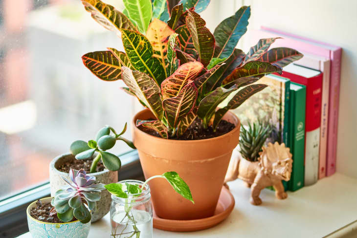 DIY a Trash Can Into a Large Flower Pot Planter - Get Green Be Well