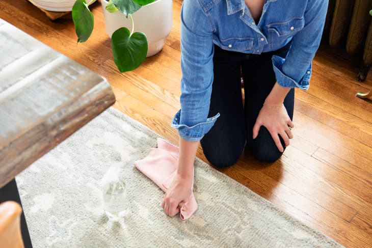 Woman scrubbing a rug in her living room to clean