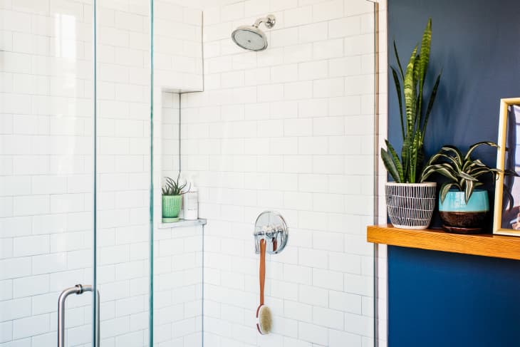 Cute bathroom with clean glass shower door