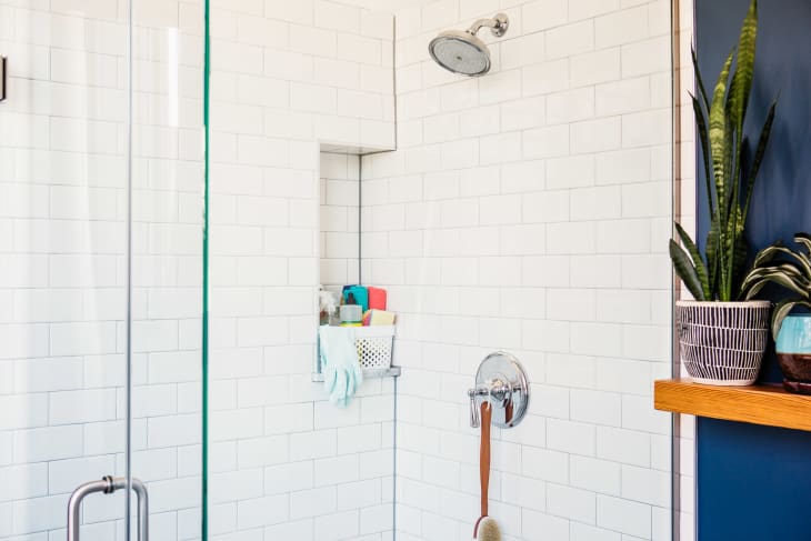 Cute bathroom with clean glass shower door, with cleaning supplies in shower