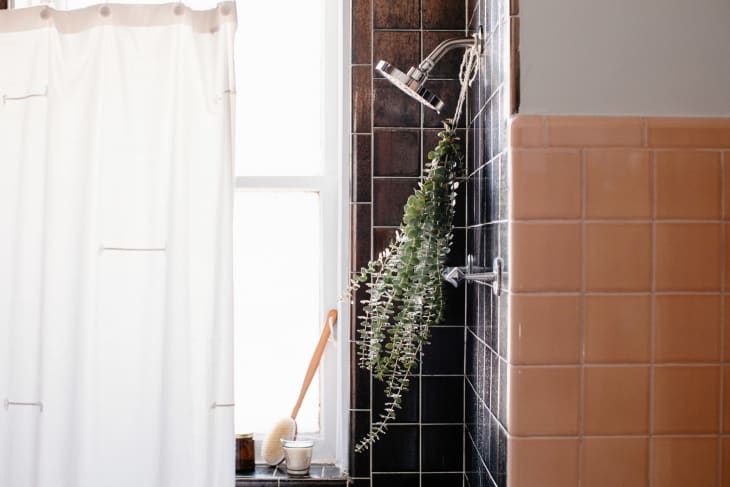 Pretty shower with eucalyptus bouquet