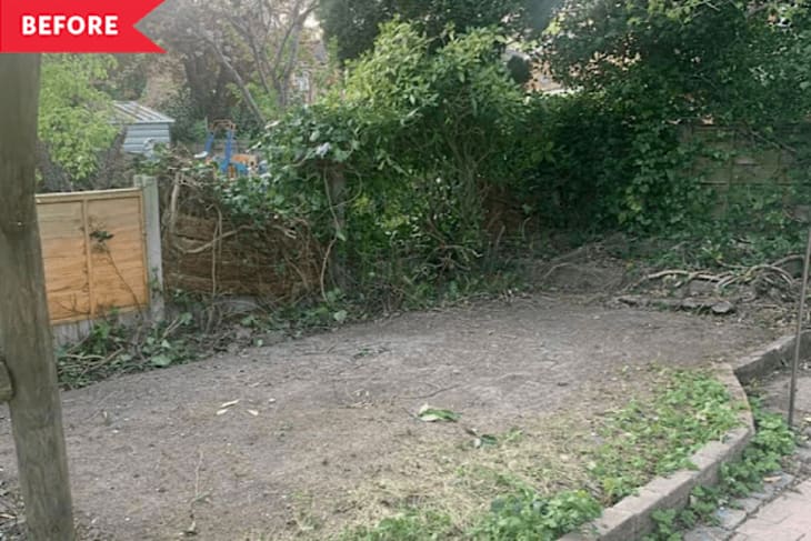 Before: Empty yard