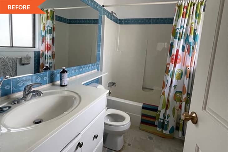 Small bathroom with blue tile accents, owl-patterned shower curtain, white sink, and toilet.